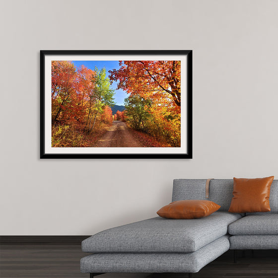 "Fall Colors Down a Dirt Road in the Cub River Area"