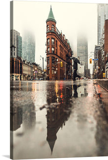  This print captures a serene yet dynamic moment in an urban setting. A solitary figure, umbrella in hand, is immortalized against the backdrop of a rain-kissed cityscape. The iconic architecture, with the prominent red-brick building boasting a majestic green dome, stands as a silent witness to the city’s vibrant history and modernity that looms in the misty background. 