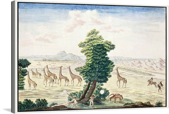 The artwork showcases a group of giraffes, each captured in a unique pose - standing, walking, grazing - near the Orange River and Augrabies Falls. 