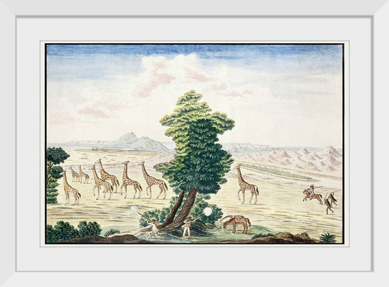 "Giraffe-Hunt Near the Orange River in the Vicinity of the Augrabies Falls on the Orange River (1778–1779)", Robert Jacob Gordon