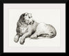 "Lying lion by Jean Bernard (1775-1883)", Jean Bernard