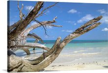   The artwork features a gnarled tree, its twisted branches reaching out as if to touch the heavens, performing an elegant ballet against the backdrop of nature’s splendor. The gentle waves lapping at the shore and the sun casting its golden hue upon soft sands create a scene of unparalleled tranquility.