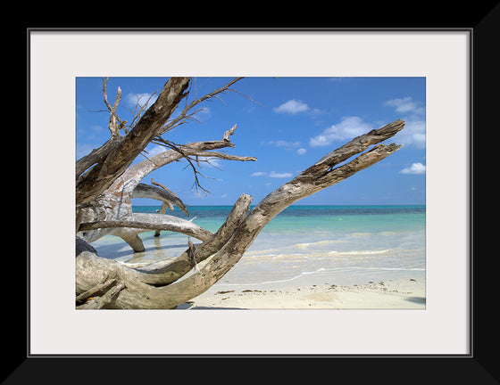 "Havelock Island", Vyacheslav Argenberg