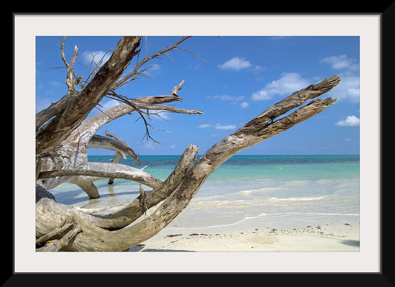 "Havelock Island", Vyacheslav Argenberg