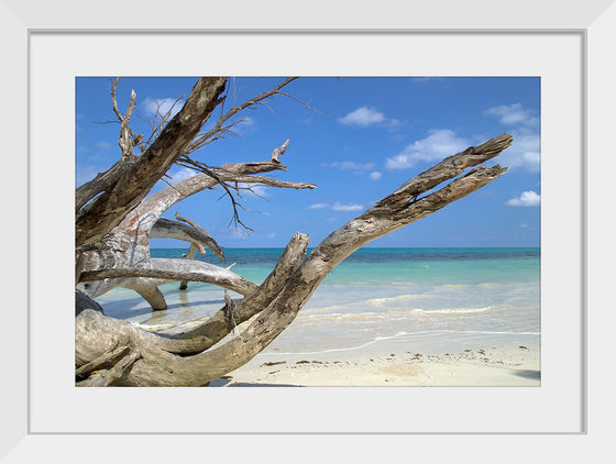 "Havelock Island", Vyacheslav Argenberg