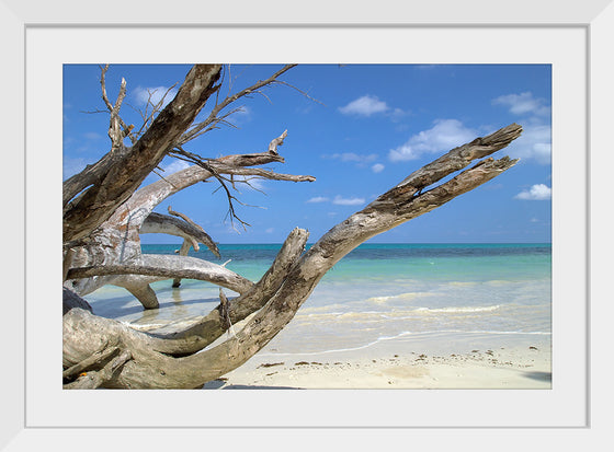 "Havelock Island", Vyacheslav Argenberg