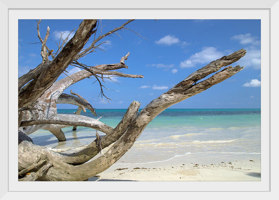 "Havelock Island", Vyacheslav Argenberg