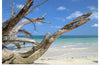 "Havelock Island", Vyacheslav Argenberg