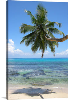  This artwork is of Anse Takamaka, Mahé, Seychelles. This is a stunning photograph of a tropical beach with a palm tree and crystal-clear water. The image is photo-realistic and captures the beauty of the beach perfectly. The palm tree is coming from the right side of the image and leans towards the water, creating a sense of movement and dynamism. The water is a beautiful turquoise color, and you can see the coral reef below the surface. 