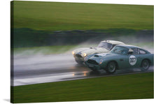  Experience the thrill of the race with this stunning print. The artwork captures two classic cars, adorned with iconic racing numbers, battling it out on a wet racetrack. The misty air and splashing water add a sense of speed and competition, while the lush greenery surrounding the track provides a stark contrast to the powerful machines. 