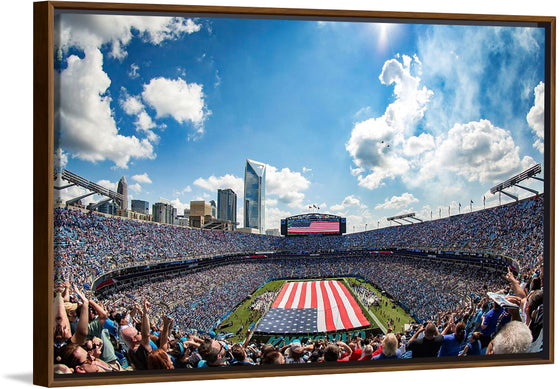 "Carolina Panthers' Military Appreciation football game"