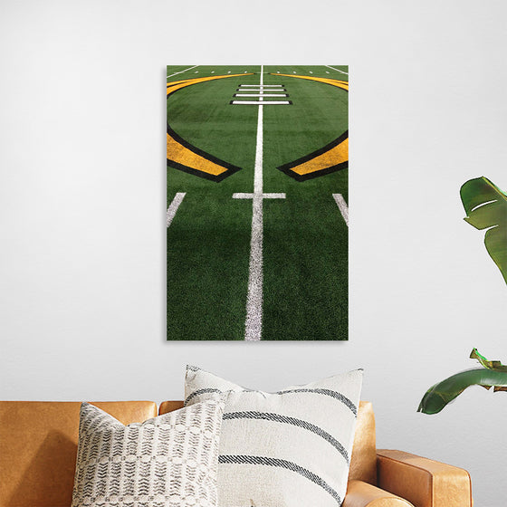 "American Football Grass Field"