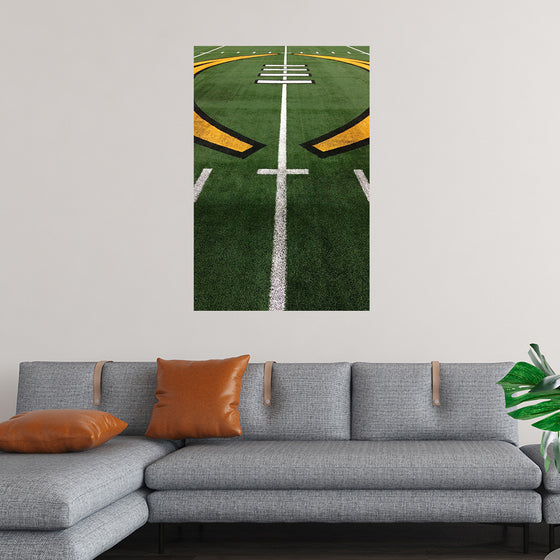 "American Football Grass Field"