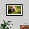 "Close Up of a Soccer Ball"