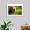 "Close Up of a Soccer Ball"