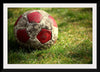 "Close Up of a Soccer Ball"