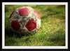 "Close Up of a Soccer Ball"