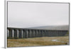 "Ribblehead Viaduct, UK", Jen Chillingsworth