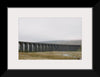 "Ribblehead Viaduct, UK", Jen Chillingsworth