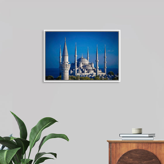 "The Blue Mosque at Night"