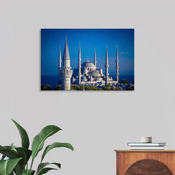 "The Blue Mosque at Night"