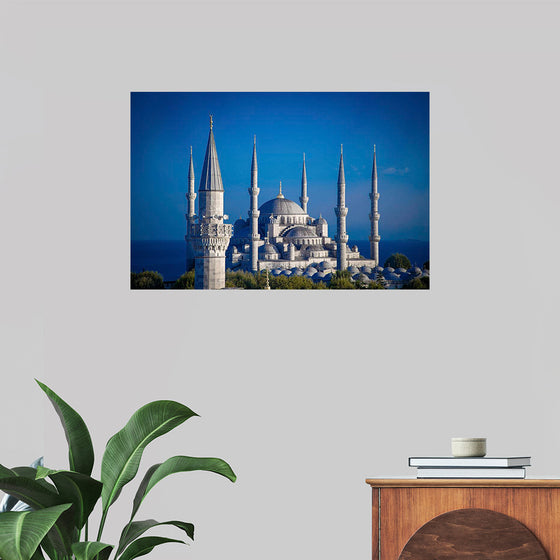 "The Blue Mosque at Night"