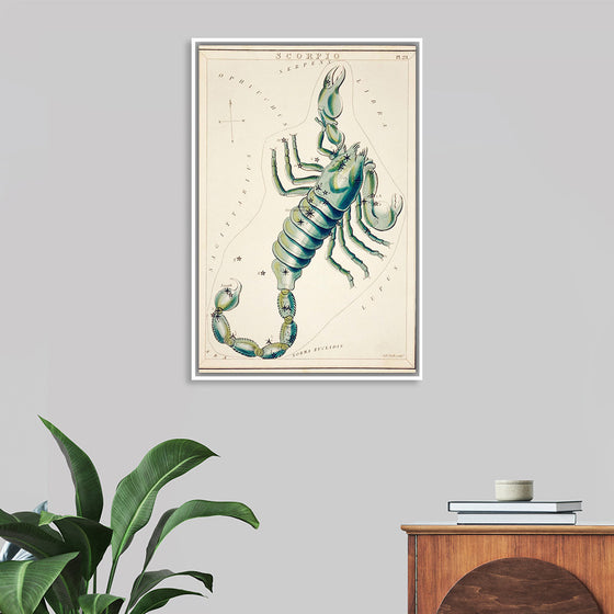 "Astronomical Chart of the Scorpio (1831) ", Sidney Hall