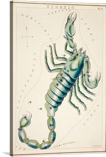  Sidney Hall’s “Astronomical Chart of the Zodiac Scorpio (1831)” is a mesmerizing piece of art that captures the essence of the celestial realm. The artwork features the zodiac sign Scorpio, depicted in intricate detail, surrounded by an array of stars that map out this iconic zodiac sign. The chart is meticulously marked with each constellation, making it not just a visual feast but an astronomical guide adorned with elegance. 