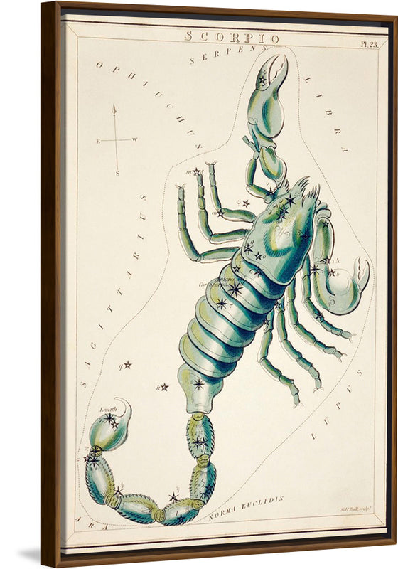 "Astronomical Chart of the Scorpio (1831) ", Sidney Hall