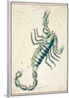 "Astronomical Chart of the Scorpio (1831) ", Sidney Hall