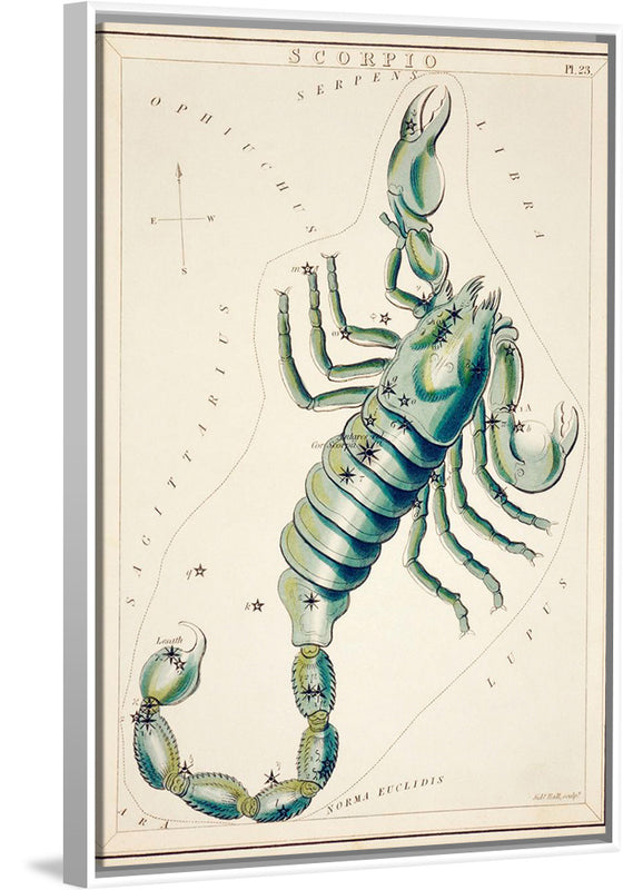 "Astronomical Chart of the Scorpio (1831) ", Sidney Hall