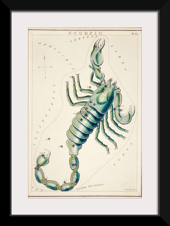 "Astronomical Chart of the Scorpio (1831) ", Sidney Hall