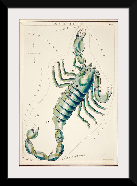 "Astronomical Chart of the Scorpio (1831) ", Sidney Hall