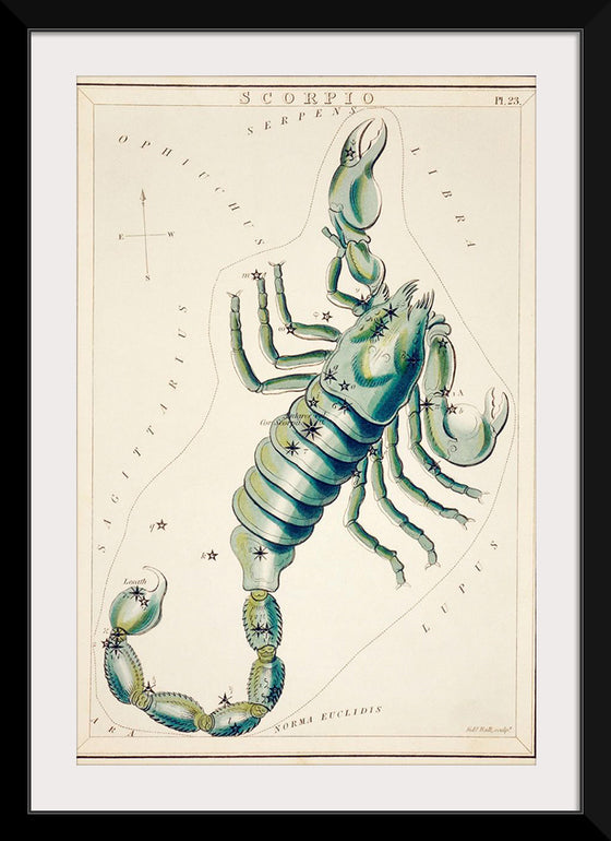 "Astronomical Chart of the Scorpio (1831) ", Sidney Hall