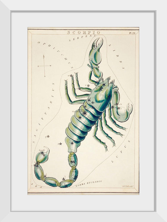 "Astronomical Chart of the Scorpio (1831) ", Sidney Hall