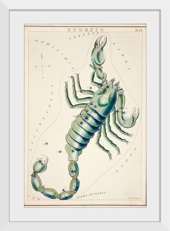 "Astronomical Chart of the Scorpio (1831) ", Sidney Hall