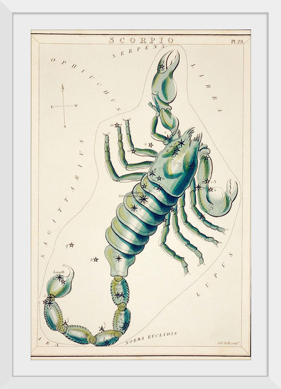 "Astronomical Chart of the Scorpio (1831) ", Sidney Hall