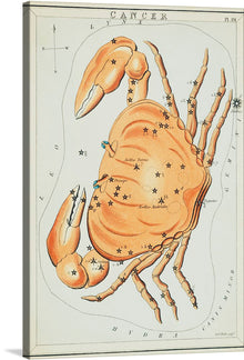  This celestial print, featuring the constellation Cancer, is a stunning blend of art and astronomy. The artwork showcases an intricately detailed crab, its orange hue contrasting beautifully with the pale background. Stars are mapped out and labeled with their corresponding names, offering both an artistic and educational experience. This piece serves as a bridge between art and science, making it a unique addition to any space. 