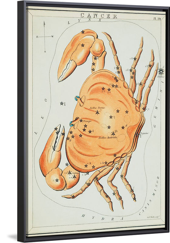 "Sidney Hall’s (?-1831) Astronomical Chart Illustration of the Cancer Zodiac"