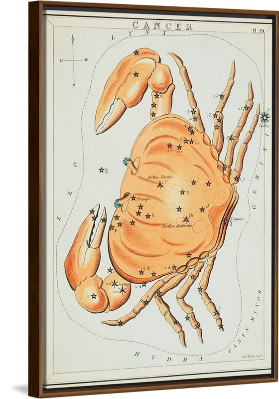 "Sidney Hall’s (?-1831) Astronomical Chart Illustration of the Cancer Zodiac"