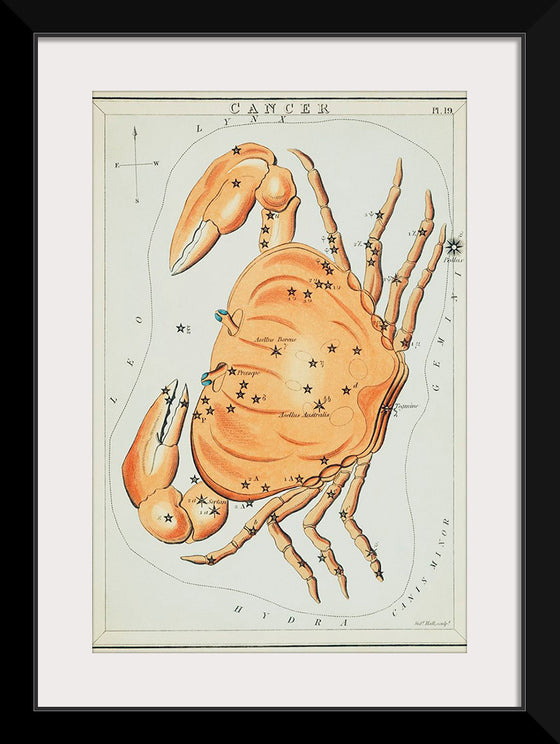 "Sidney Hall’s (?-1831) Astronomical Chart Illustration of the Cancer Zodiac"