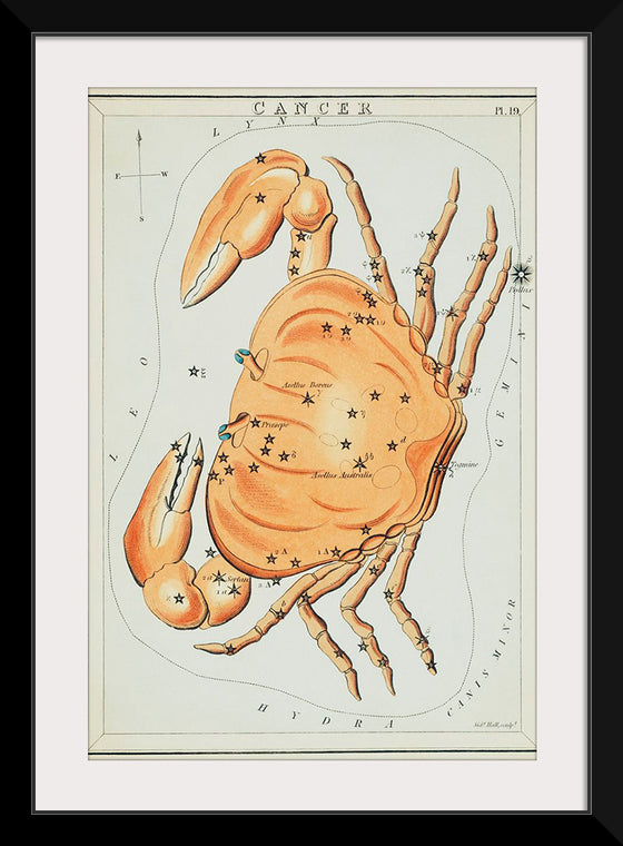 "Sidney Hall’s (?-1831) Astronomical Chart Illustration of the Cancer Zodiac"