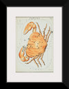 "Sidney Hall’s (?-1831) Astronomical Chart Illustration of the Cancer Zodiac"