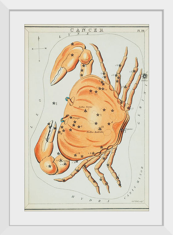 "Sidney Hall’s (?-1831) Astronomical Chart Illustration of the Cancer Zodiac"