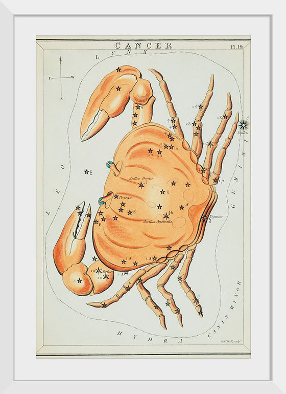 "Sidney Hall’s (?-1831) Astronomical Chart Illustration of the Cancer Zodiac"