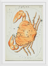 "Sidney Hall’s (?-1831) Astronomical Chart Illustration of the Cancer Zodiac"