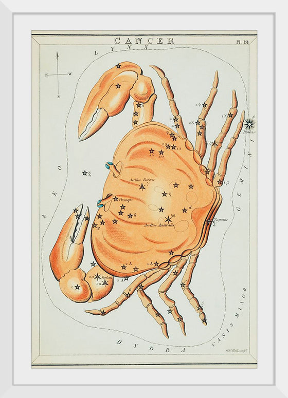 "Sidney Hall’s (?-1831) Astronomical Chart Illustration of the Cancer Zodiac"