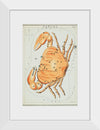 "Sidney Hall’s (?-1831) Astronomical Chart Illustration of the Cancer Zodiac"