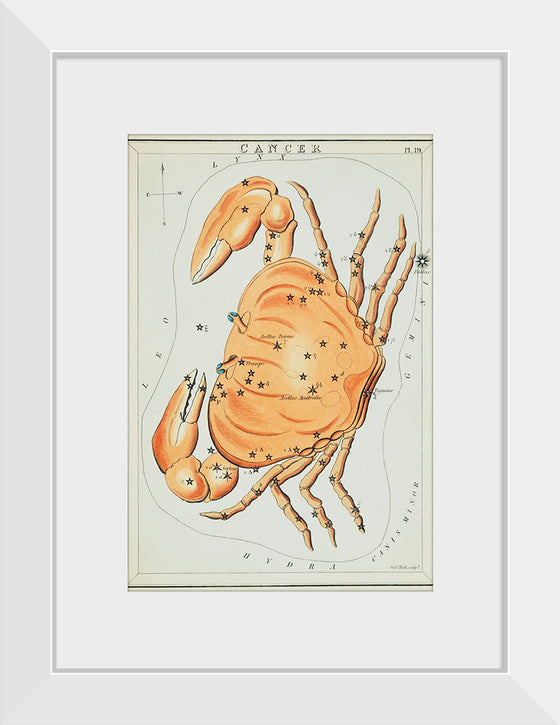 "Sidney Hall’s (?-1831) Astronomical Chart Illustration of the Cancer Zodiac"