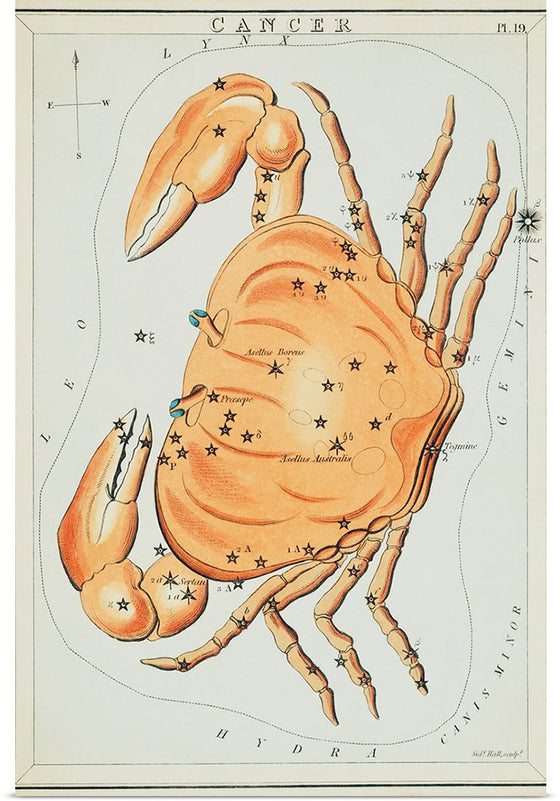 "Sidney Hall’s (?-1831) Astronomical Chart Illustration of the Cancer Zodiac"